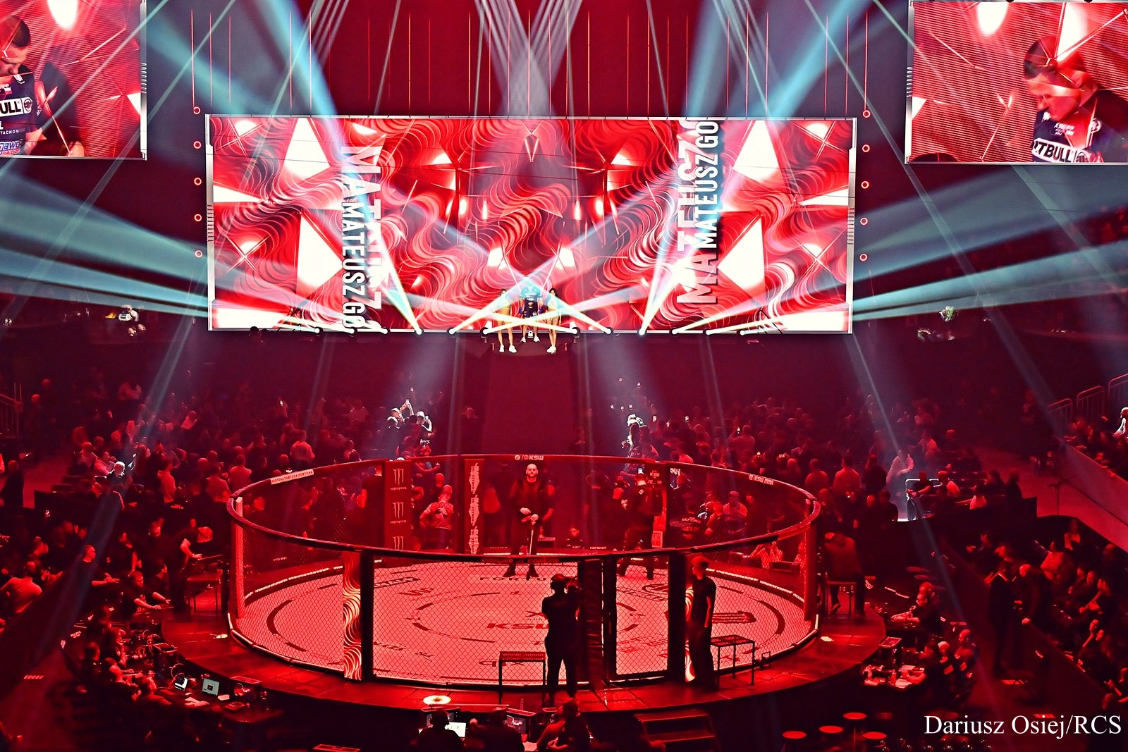 Galeria: XTB KSW 114, zdjęcie 6 z 14