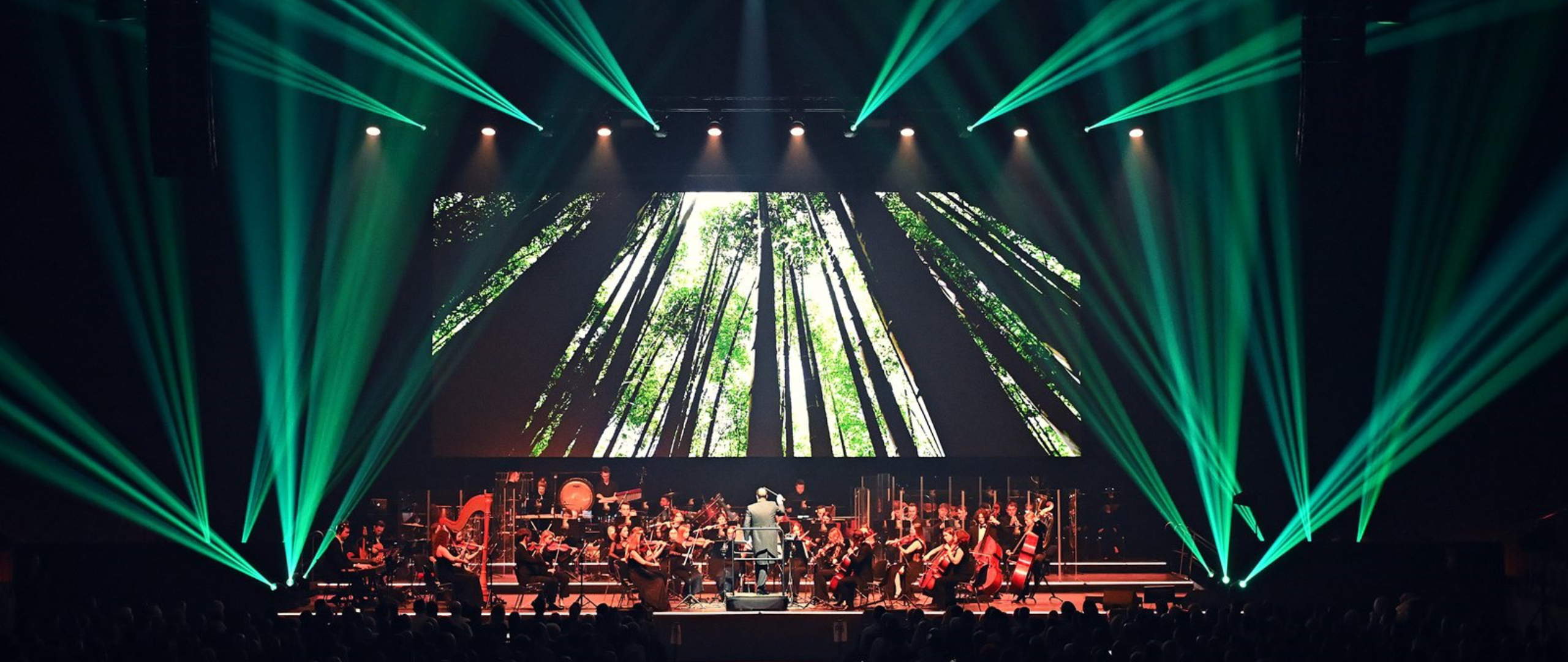 Galeria: Visual Concert 4, zdjęcie główne