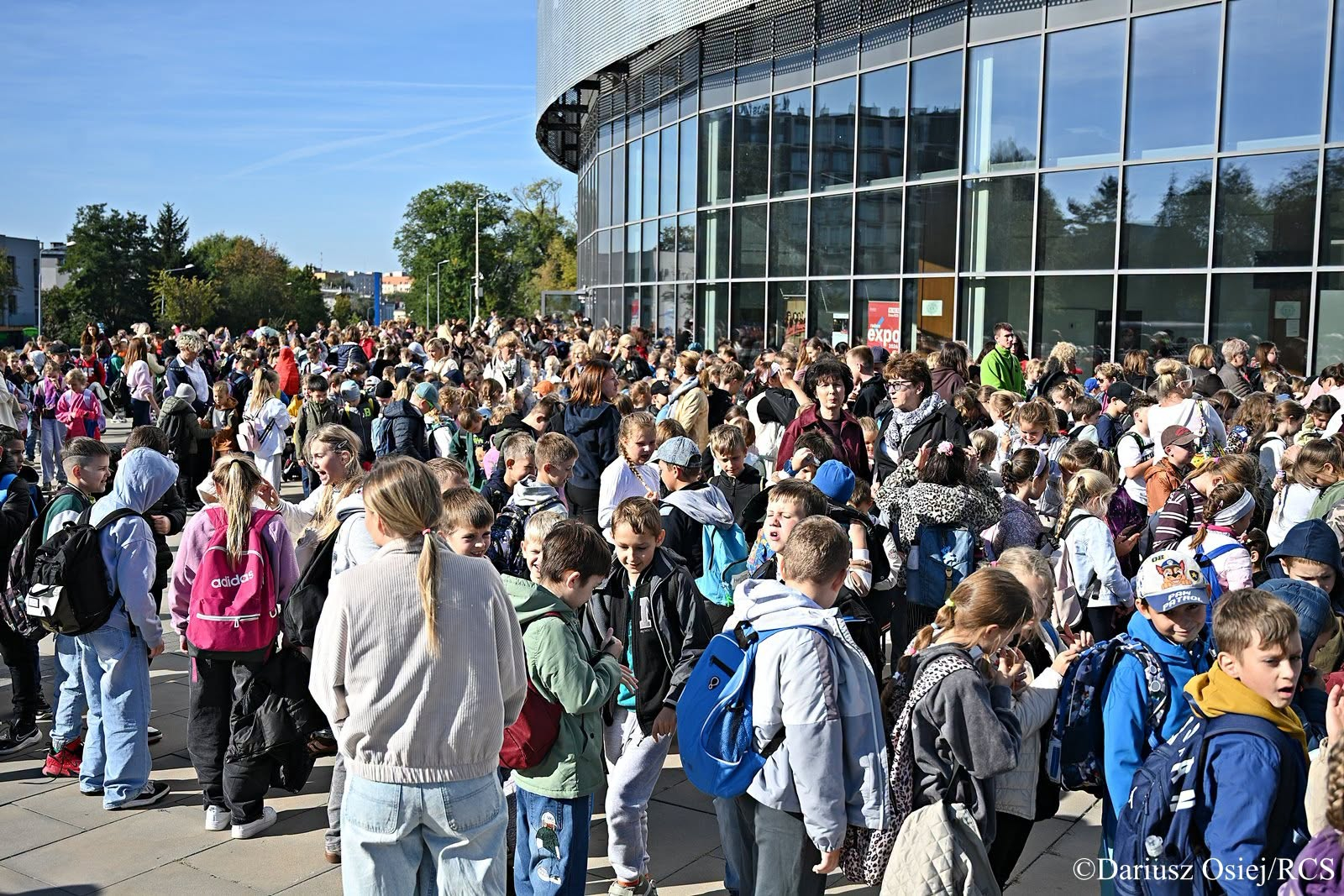 Galeria: Rewia na lodzie: Przygody Sindbada Żeglarza, zdjęcie 4 z 36