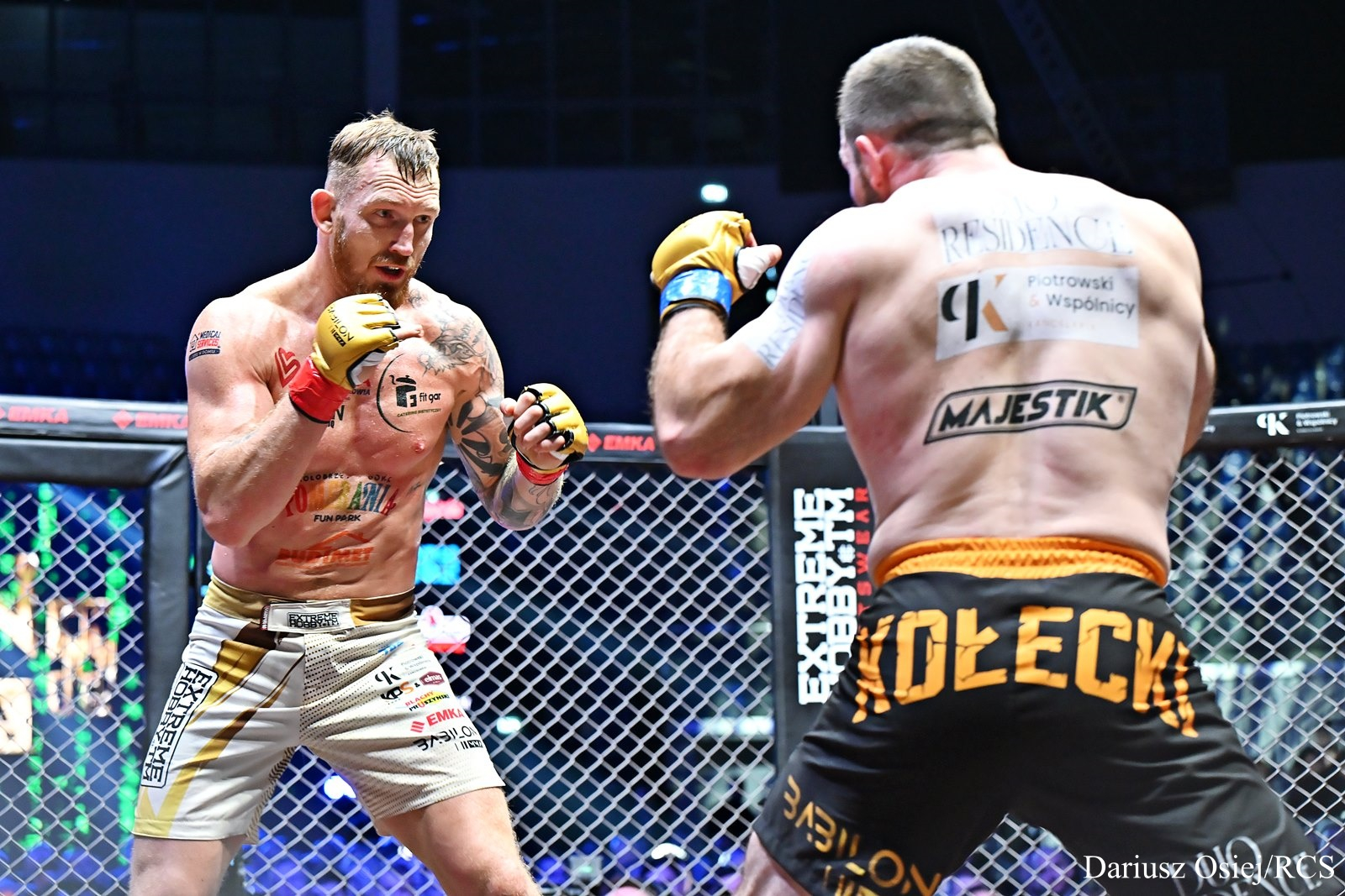 Galeria: KPS & Elmas Babilon MMA 55, zdjęcie 20 z 25