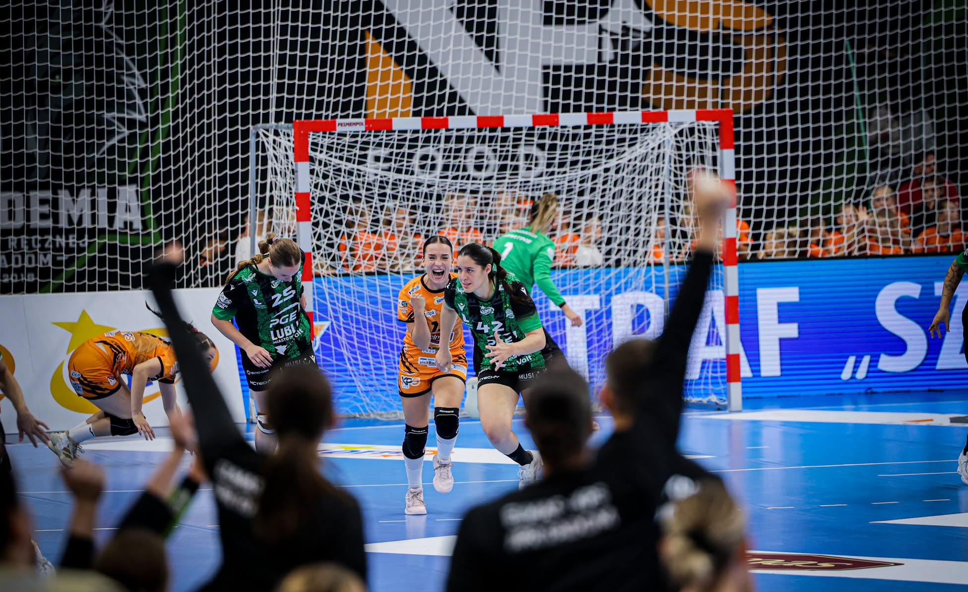Galeria: LSK: ELMAS-KPS APR Radom-PGE El-Volt Lublin, zdjęcie 11 z 14