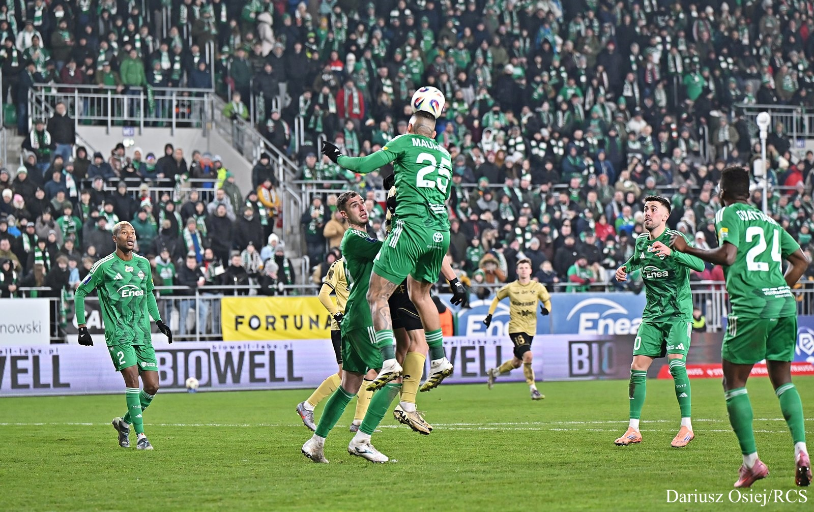 Galeria: RKS Radomiak Radom-Górnik Zabrze, zdjęcie 19 z 23