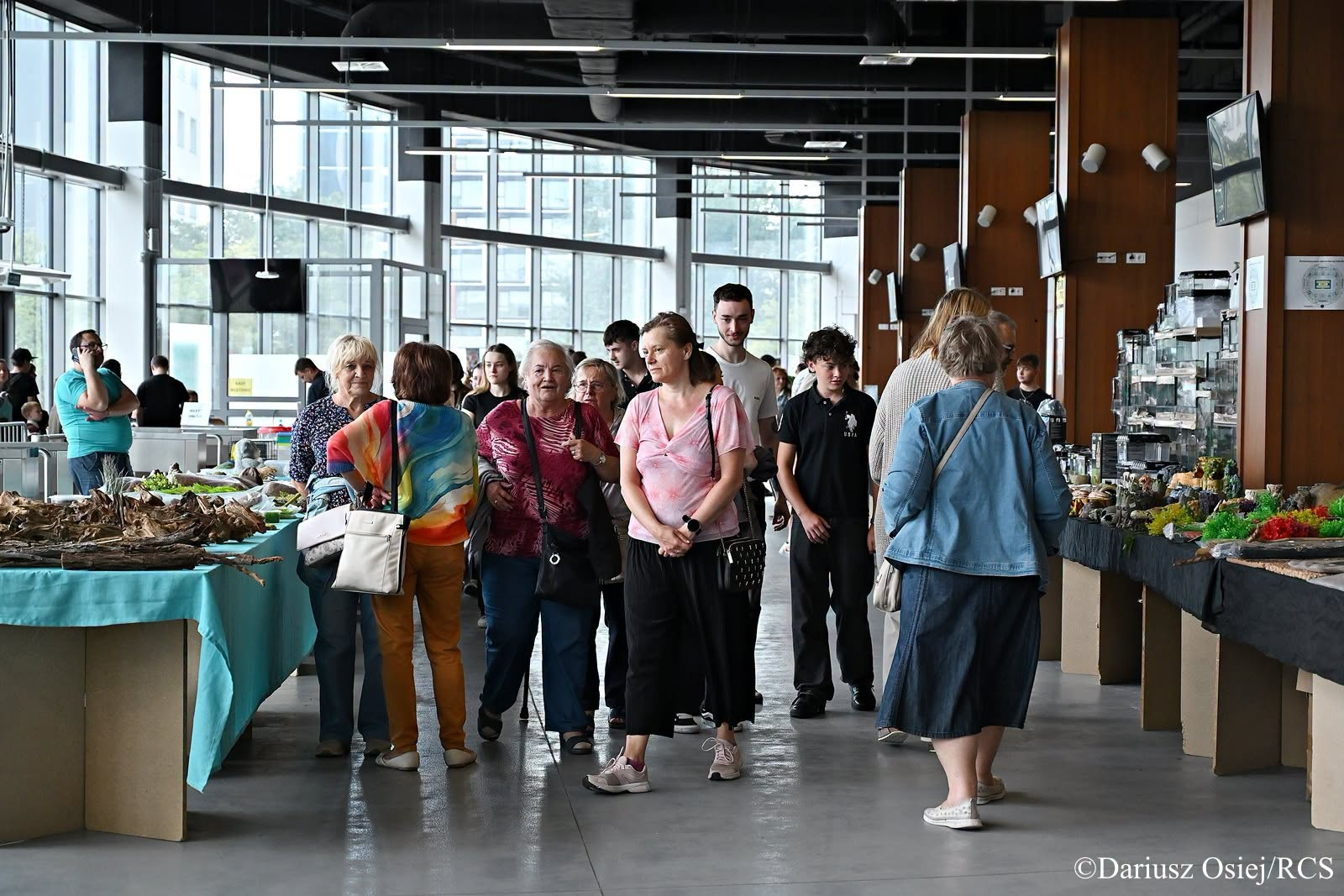 Galeria: GeoExpo, Dargon i Cudeńka , zdjęcie 17 z 17